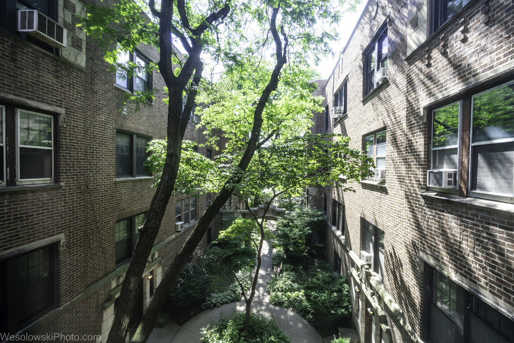 5459 S Ingleside Avenue - Photo 10