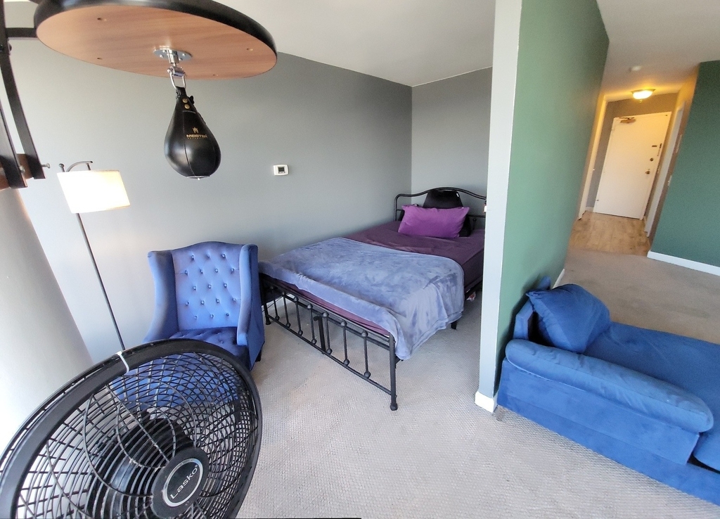 5415 N Sheridan Road - Photo 7