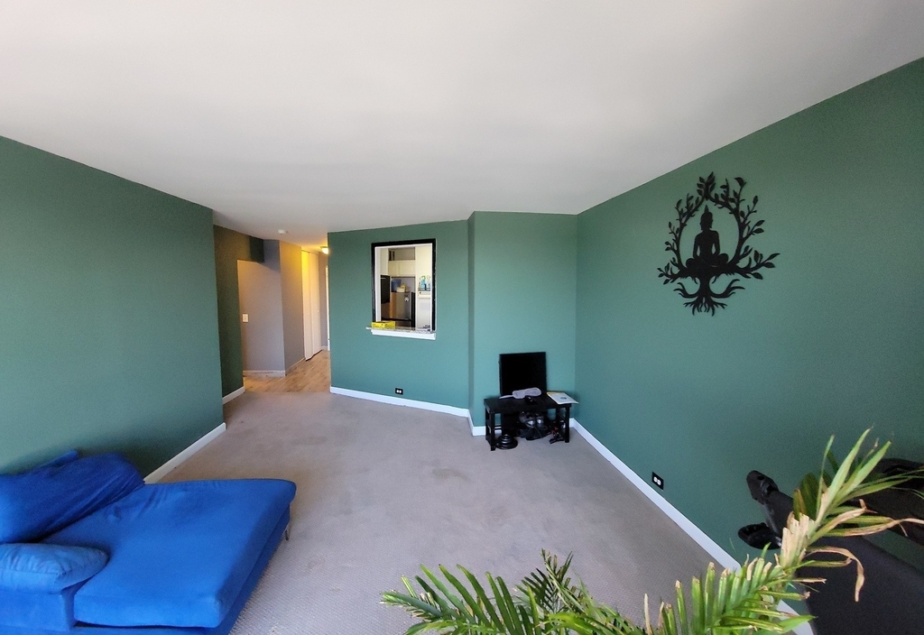 5415 N Sheridan Road - Photo 3