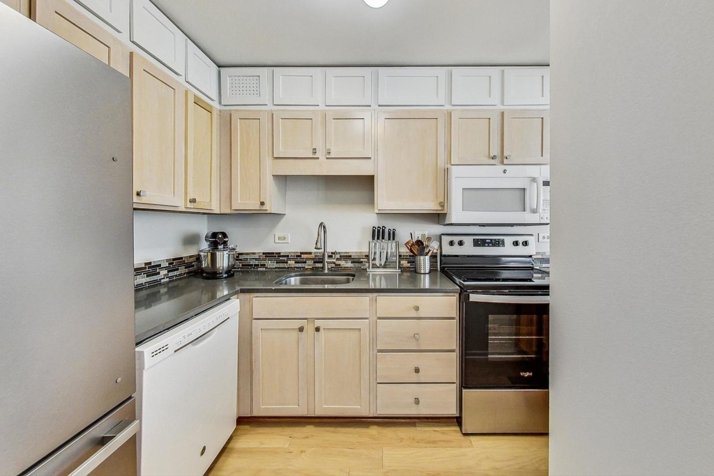 211 E Ohio Street - Photo 12