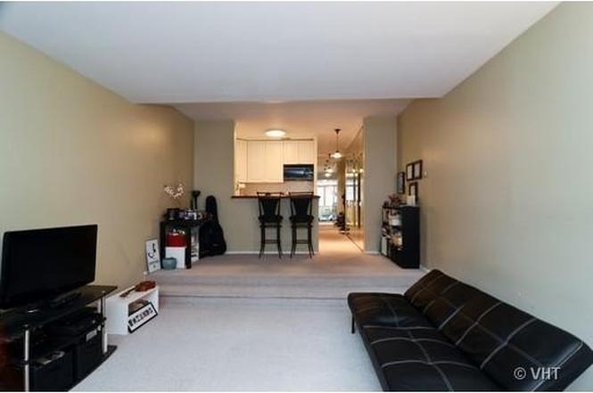 1419 N State Parkway - Photo 1