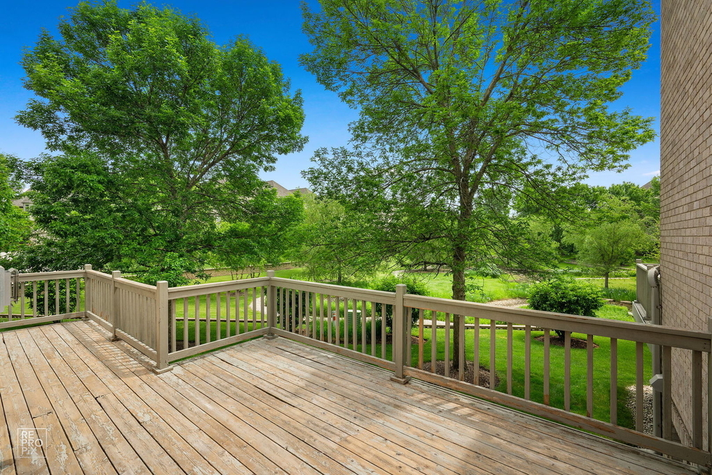 1537 W Rue James Place - Photo 12