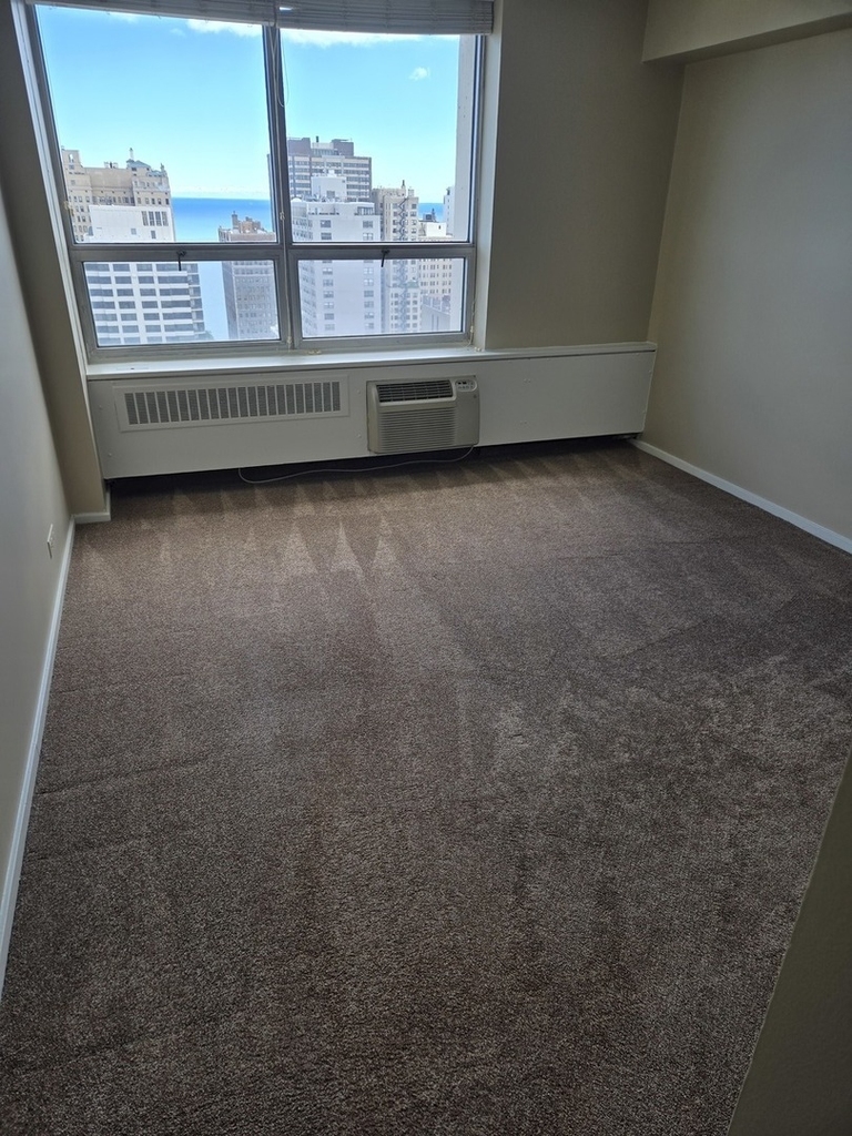 70 W Burton Place - Photo 5