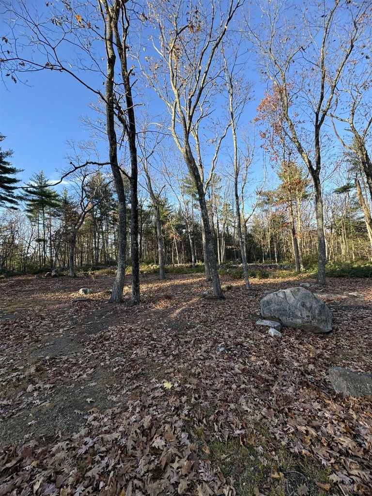 310 Hurricane Hill - Photo 34