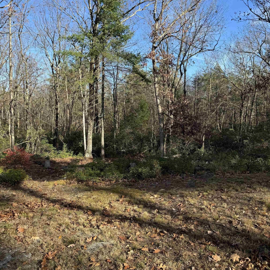 310 Hurricane Hill - Photo 35