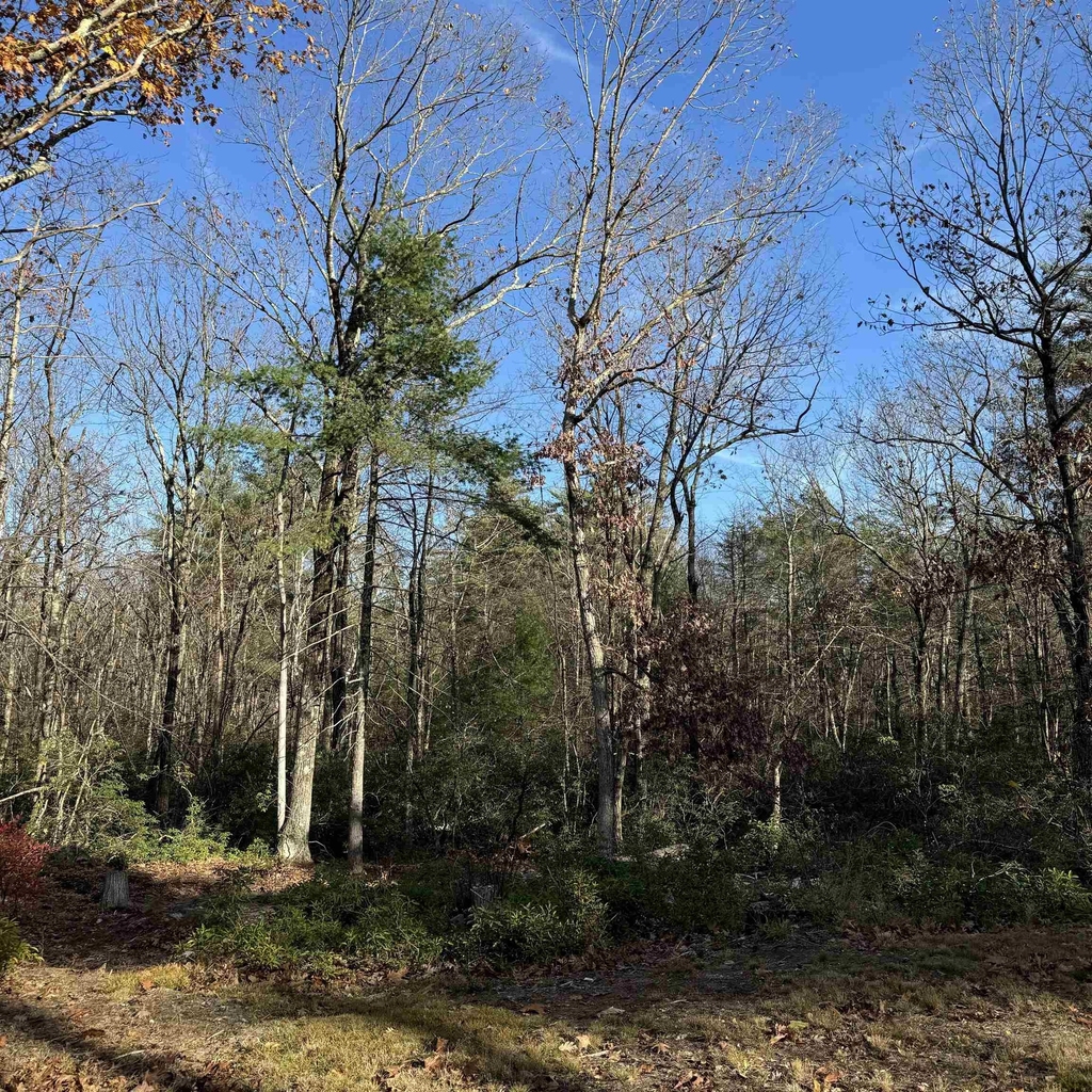 310 Hurricane Hill - Photo 36