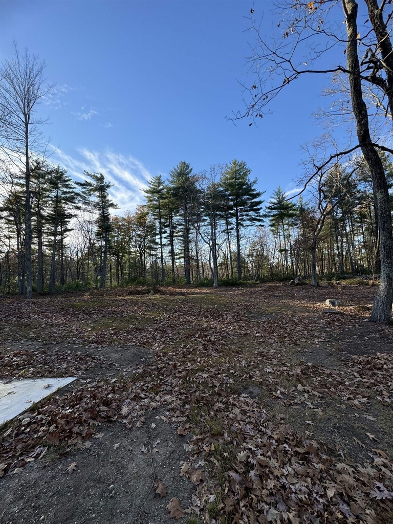 310 Hurricane Hill - Photo 28