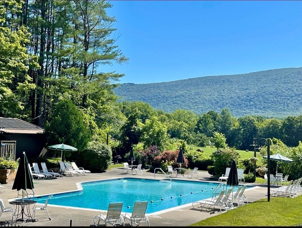 55 Murray Hill Woods - Photo 47