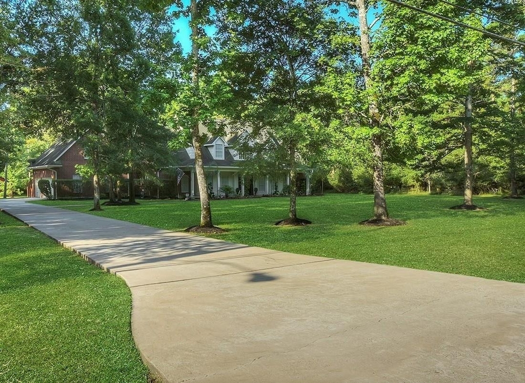 10819 Lake Windcrest - Photo 2