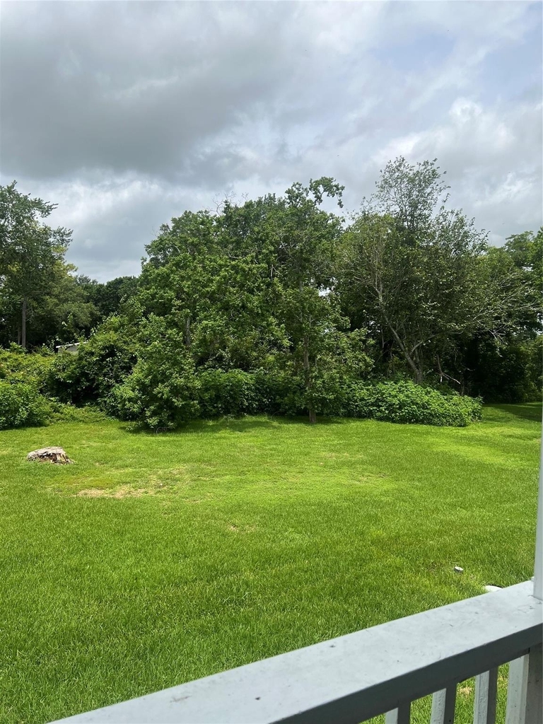 827 Algoa Friendswood Road - Photo 5