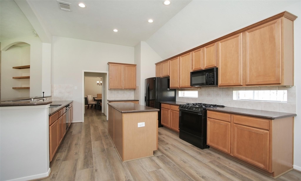 11418 Ruby Canyon Lane - Photo 21