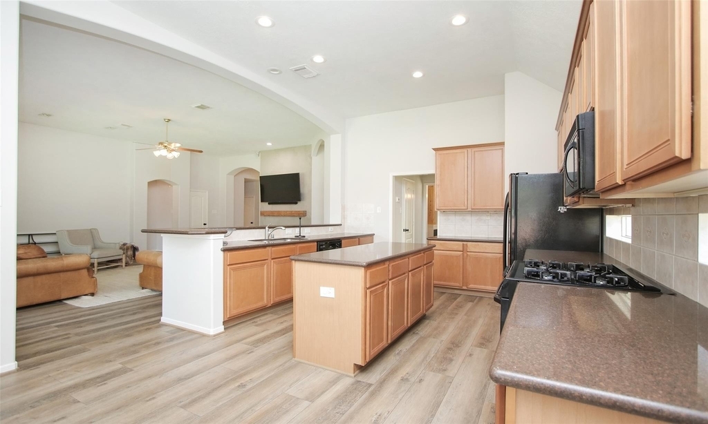 11418 Ruby Canyon Lane - Photo 22