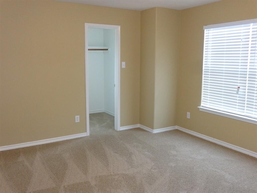 12003 Green Coral Drive - Photo 9