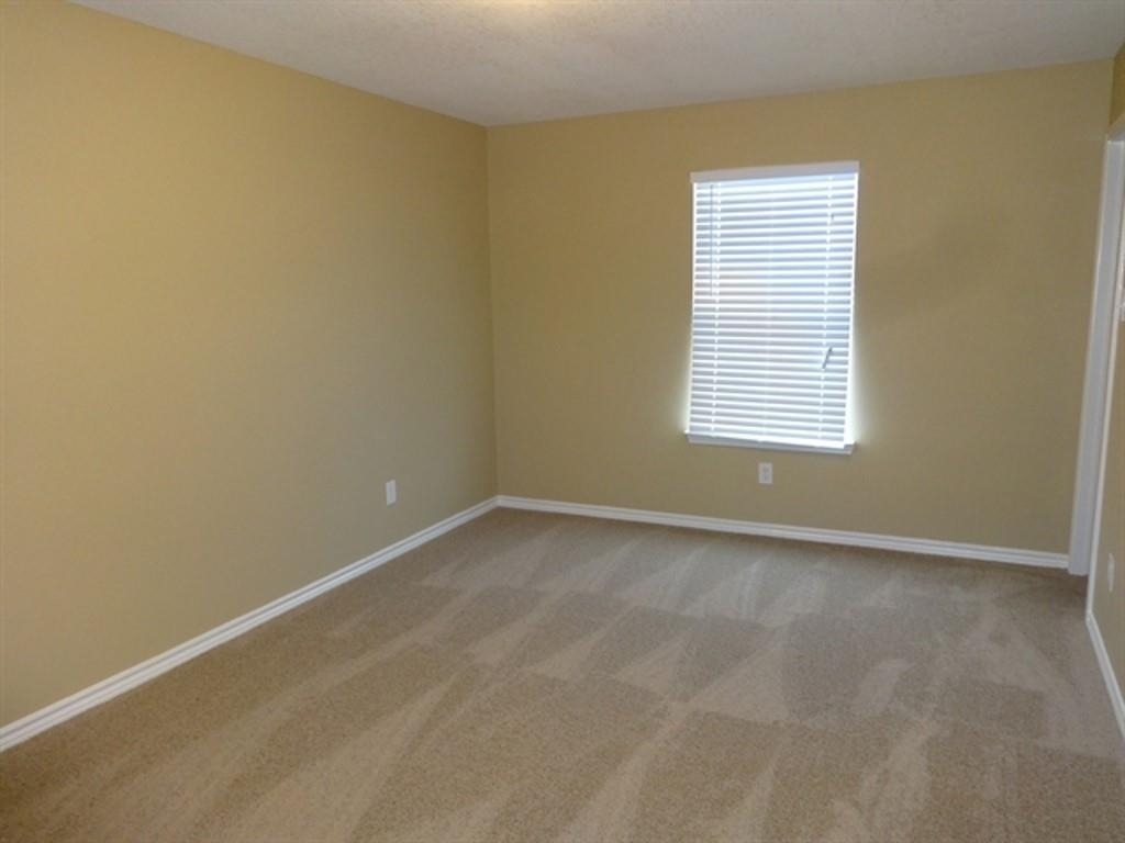 12003 Green Coral Drive - Photo 10