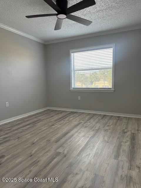 265 Spring Drive - Photo 17