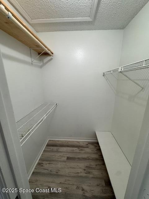 265 Spring Drive - Photo 14