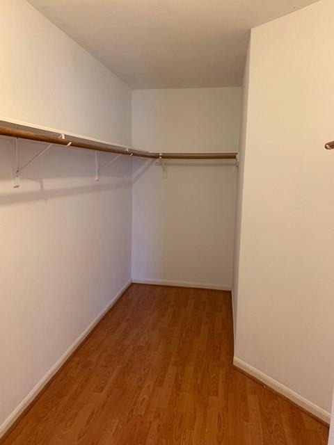 15203 Possumwood Drive - Photo 6