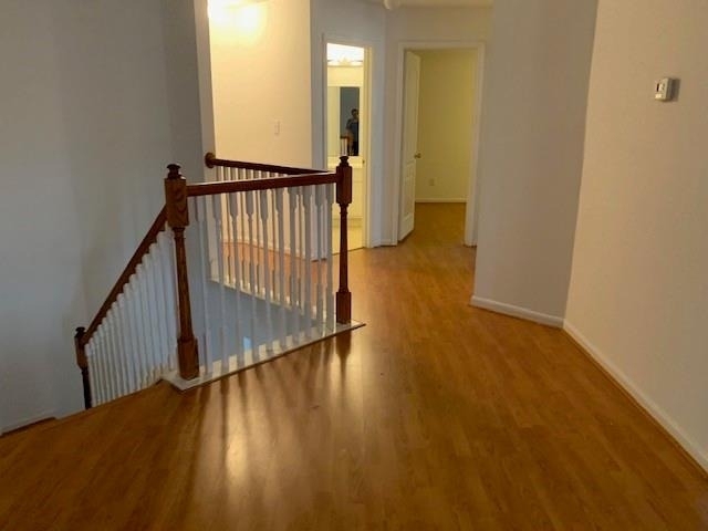 15203 Possumwood Drive - Photo 10
