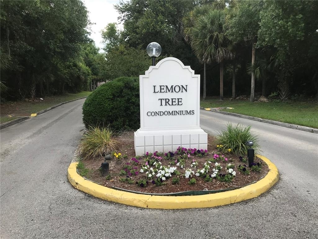 2634 Lemon Tree Lane - Photo 0