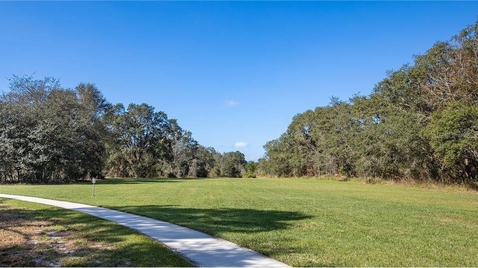 3483 Mud Canyon Drive - Photo 28