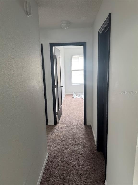12144 Bruceton Way - Photo 6