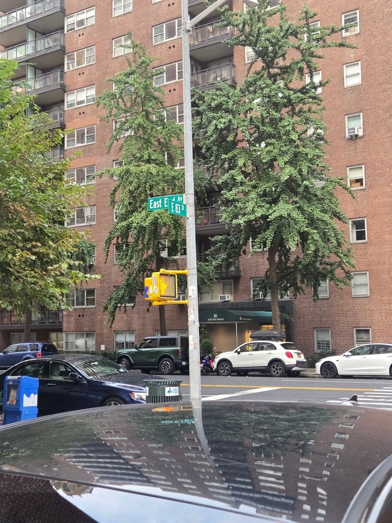 534 East 83rd Street - Photo 6