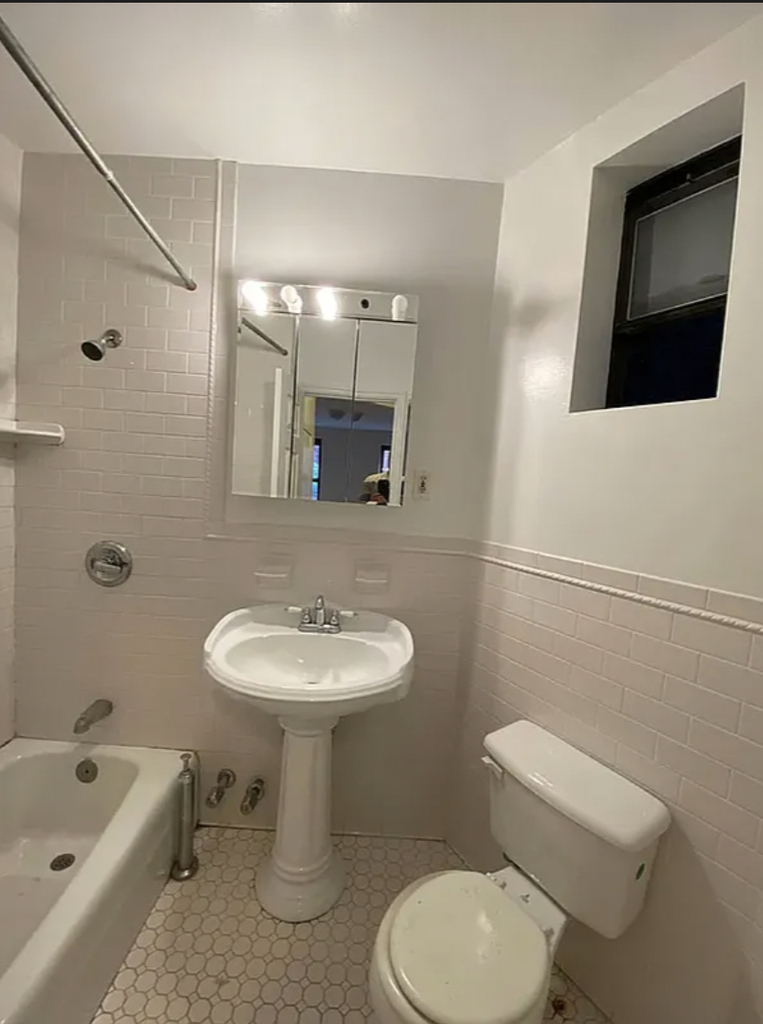 534 East 83rd Street - Photo 4