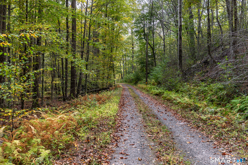 38 Mountain Lane - Photo 21