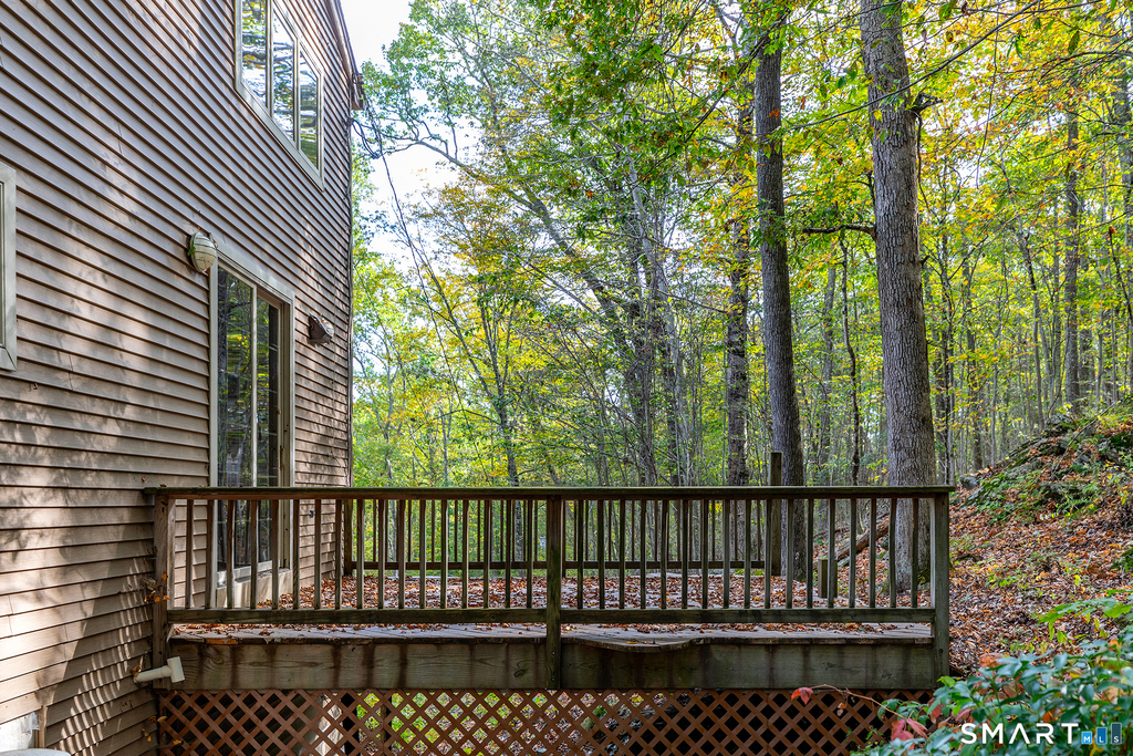38 Mountain Lane - Photo 19