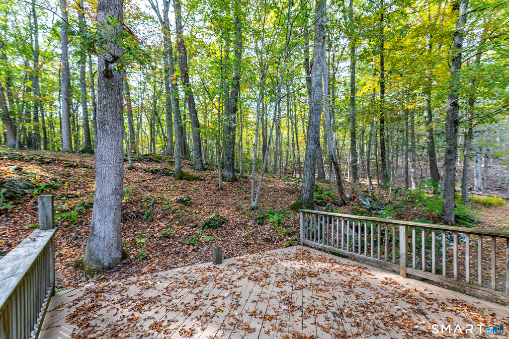 38 Mountain Lane - Photo 23