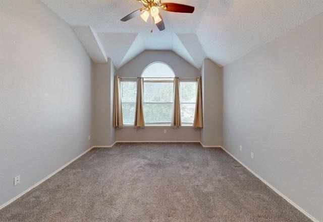 4205 Holly Drive - Photo 13