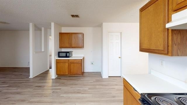 603 Ambarella Street - Photo 4