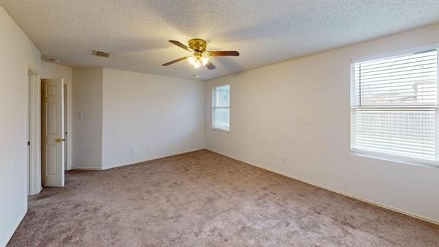 603 Ambarella Street - Photo 9