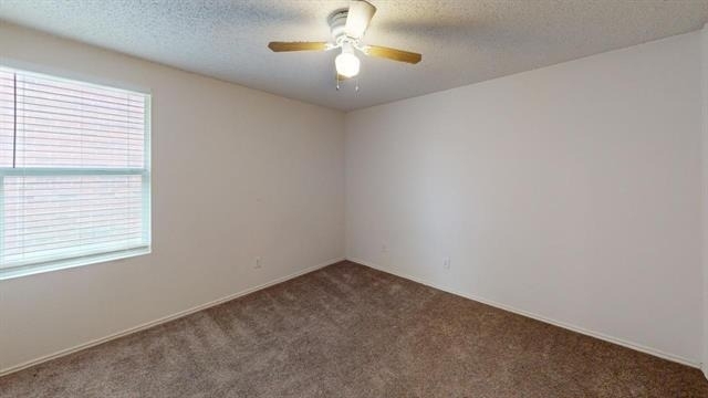 603 Ambarella Street - Photo 13