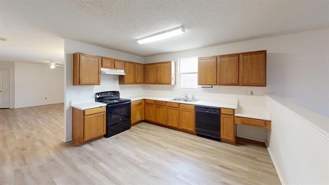 603 Ambarella Street - Photo 3