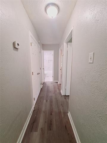 3831 Castle Hills Drive - Photo 11