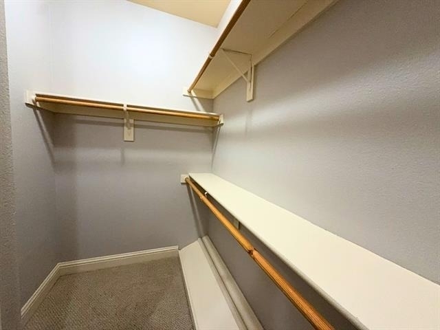 4317 Cedar Springs Road - Photo 13