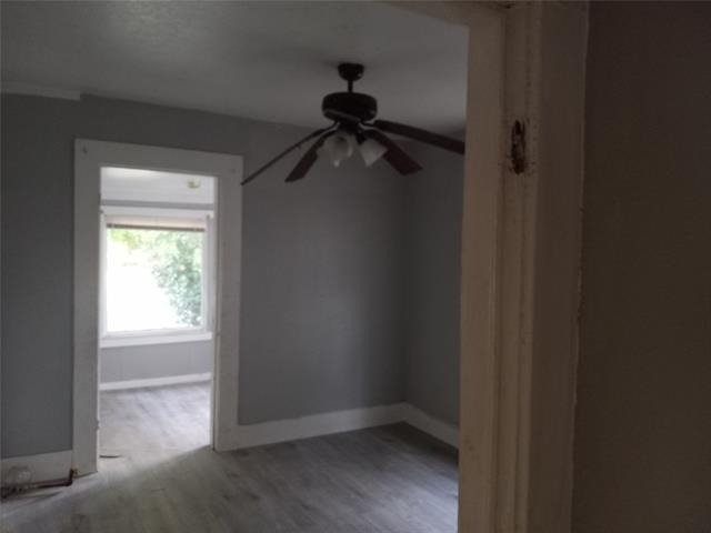 1435 Natalie Street - Photo 4