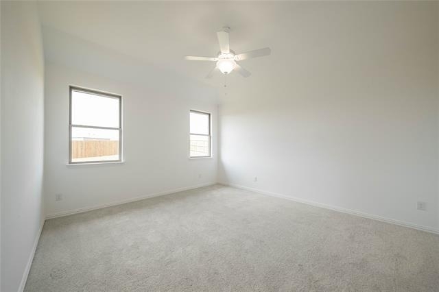 503 Virginia Way - Photo 15