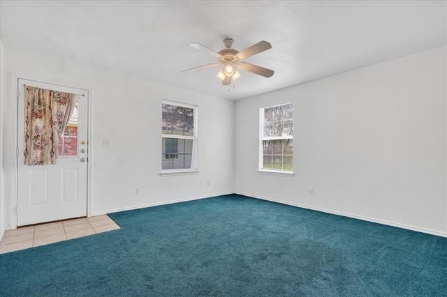 509 W Cedar Street - Photo 10