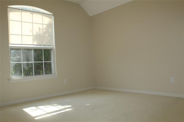 11000 Breezewood Drive - Photo 19