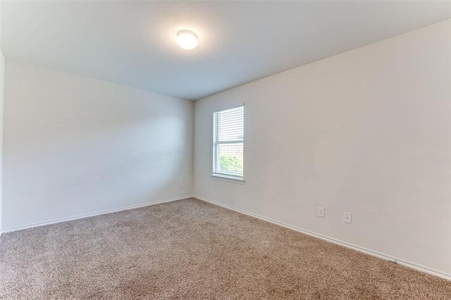 517 Milo Way - Photo 19