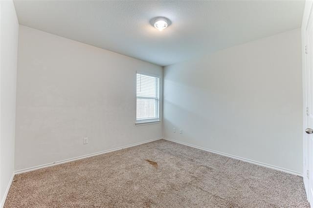 517 Milo Way - Photo 11