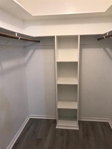 4009 Azalea Lane - Photo 16
