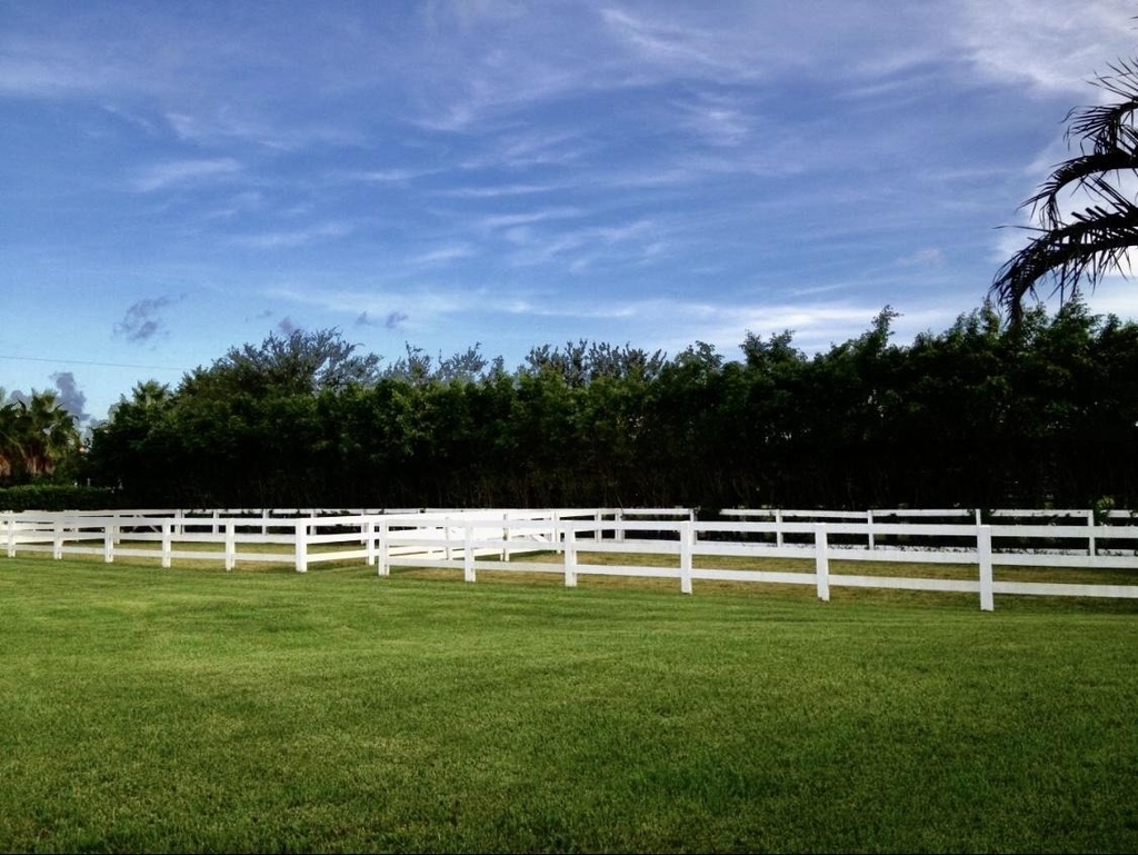 2583 Appaloosa Trail - Photo 24