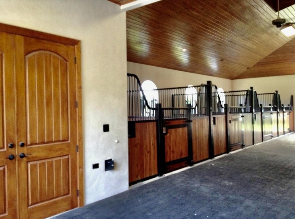 2583 Appaloosa Trail - Photo 2