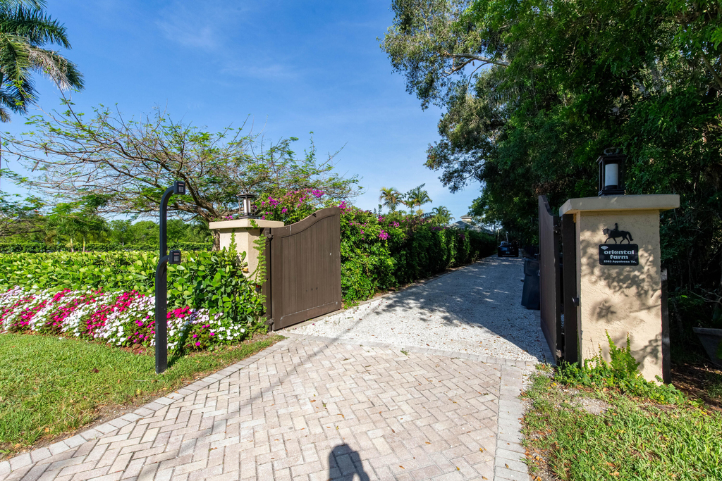 2583 Appaloosa Trail - Photo 19