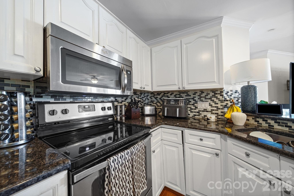 18637 Vineyard Point Lane - Photo 10