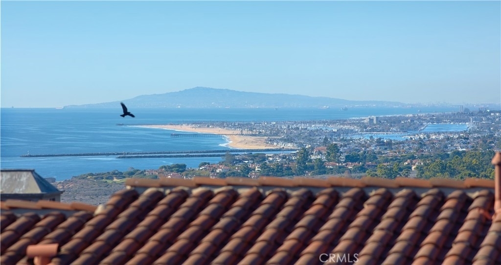 10 Shore Walk - Photo 17