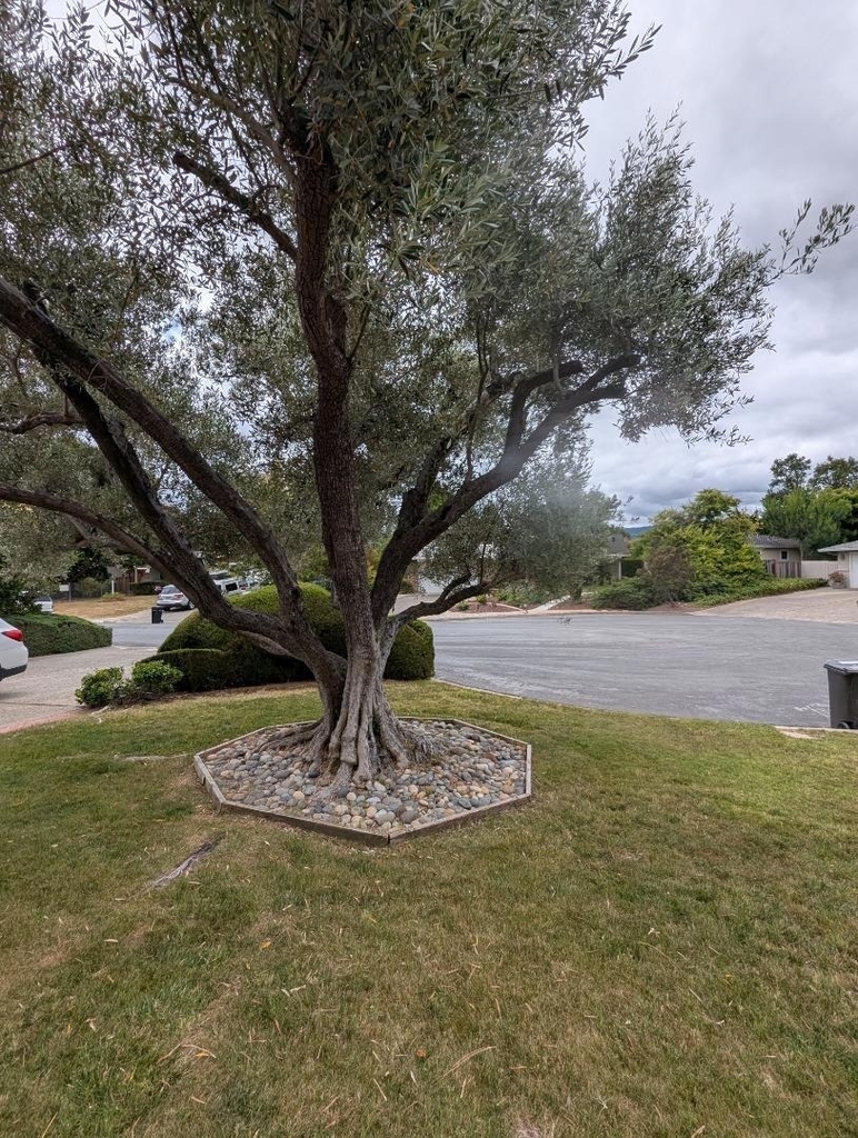 19645 Ladera Court - Photo 102